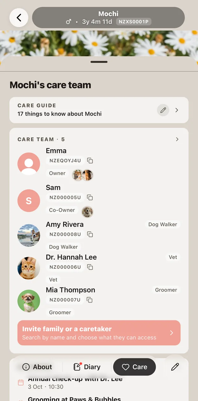 A pet's care team
